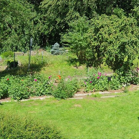 Ferienhaus In Geesthacht-Tesperhude Direkt Am Waldrand Buitenkant foto
