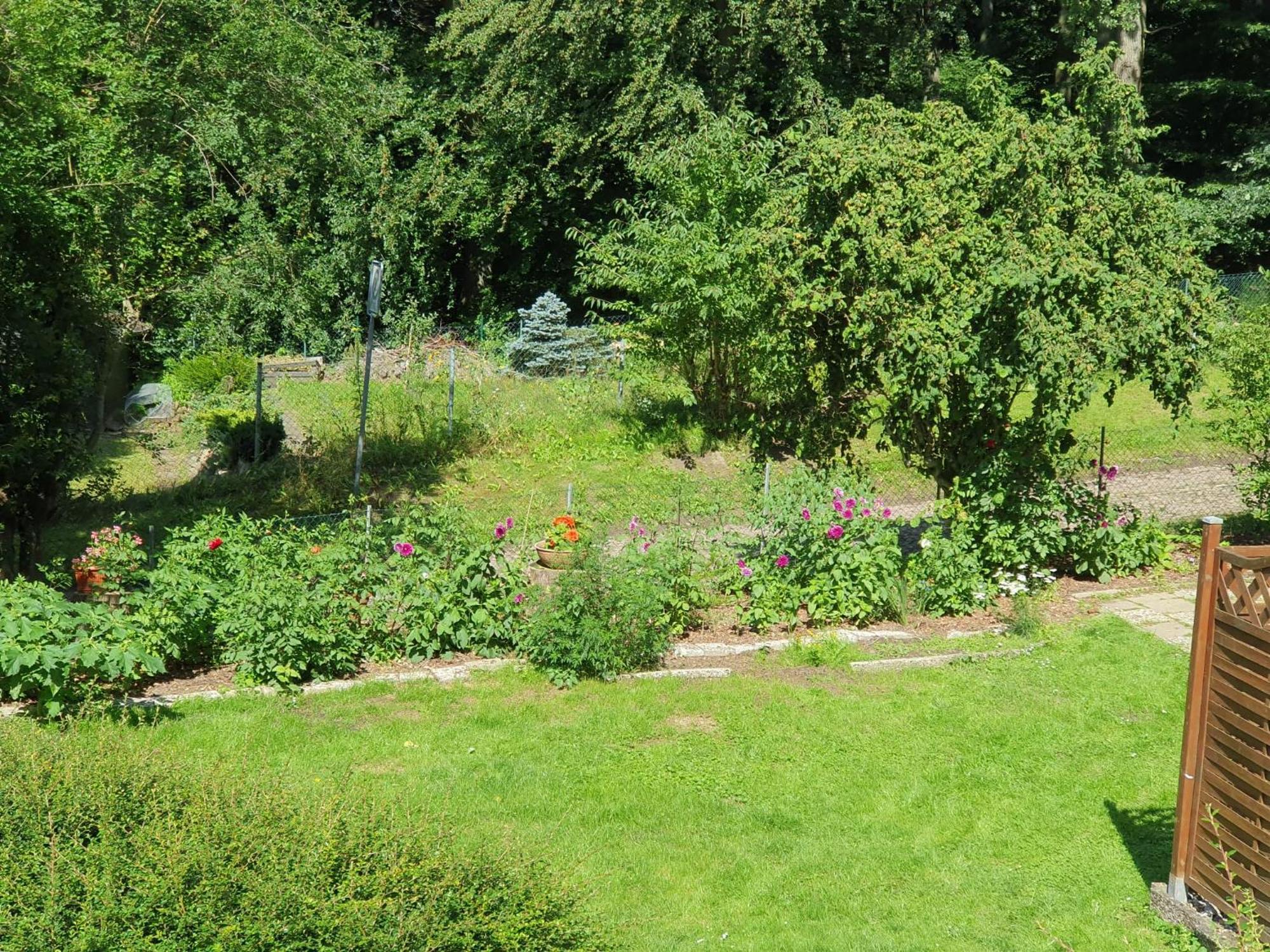 Ferienhaus In Geesthacht-Tesperhude Direkt Am Waldrand Buitenkant foto