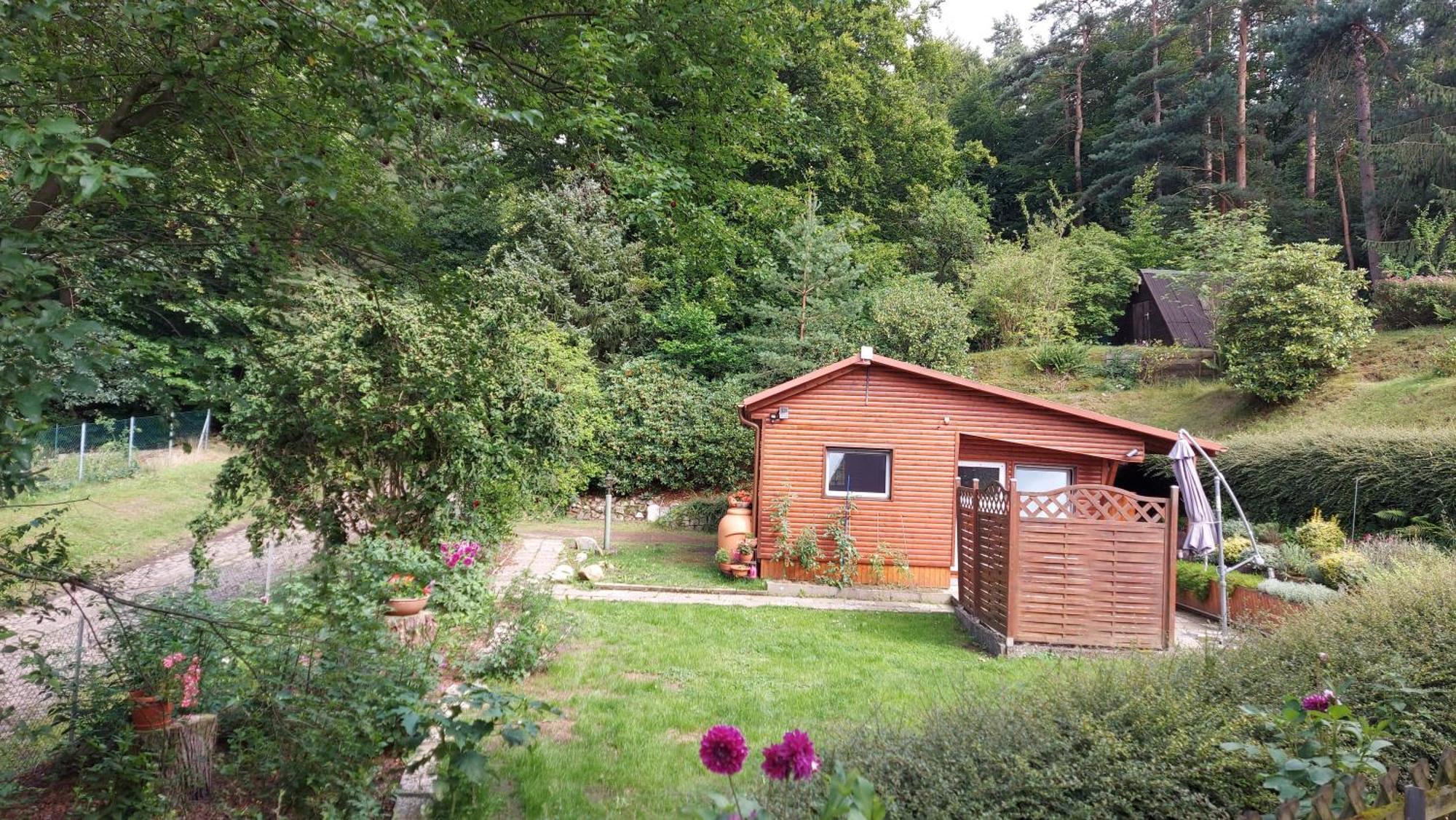 Ferienhaus In Geesthacht-Tesperhude Direkt Am Waldrand Buitenkant foto
