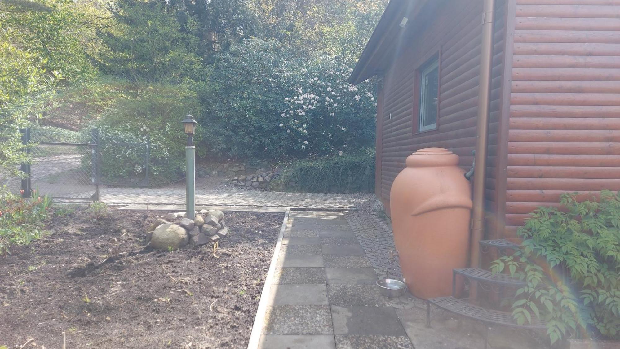 Ferienhaus In Geesthacht-Tesperhude Direkt Am Waldrand Buitenkant foto