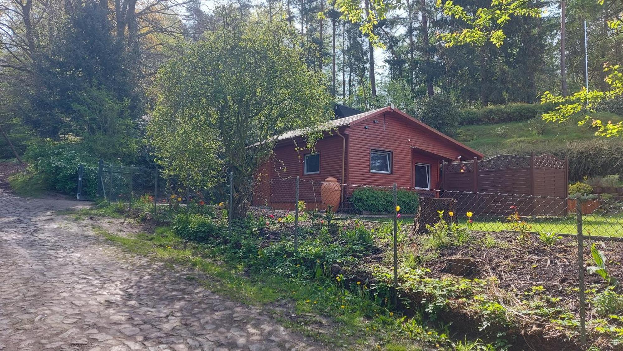 Ferienhaus In Geesthacht-Tesperhude Direkt Am Waldrand Buitenkant foto